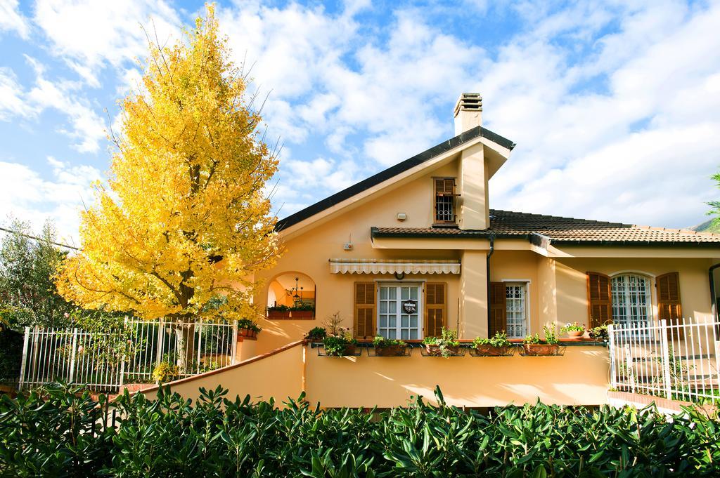 L'Albero Della Vita Bed and Breakfast Ceriale Εξωτερικό φωτογραφία